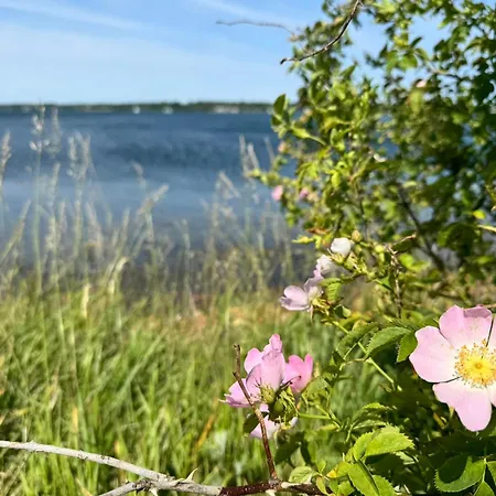 Nordkiek No 8 Fuer 4 Person Mit Meerblick Apartmán *
